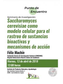 Jornada Punto de Encuentro: "Saccharomyces cerevisiae como modelo celular para el rastreo de sustancias bioactivas y mecanismos de acción", Félix Machín