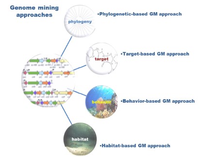Advanced Methods for Natural Products Discovery: Bioactivity Screening, Dereplication, Metabolomics Profiling, Genomic Sequencing, Databases and Informatic Tools, and Structure Elucidation