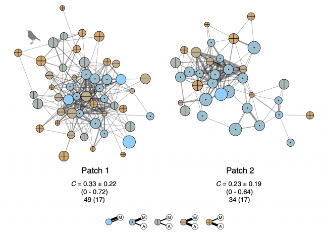 Functional consequences of plant-animal interactions