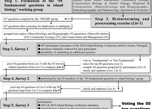 A roadmap for island biology