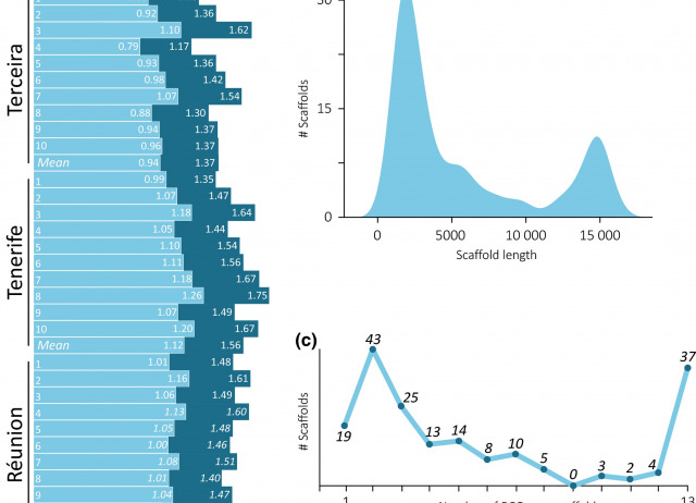 MtDNA metagenomics reveals large‐scale invasion