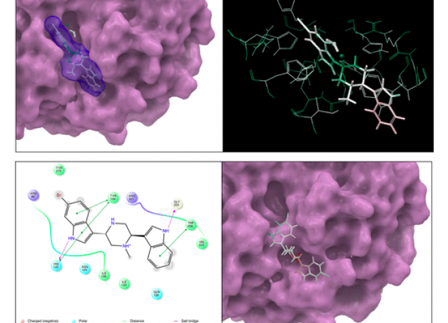 On the mechanism of action of dragmacidins I and J, two new representatives of a new class of protein phosphatase 1 and 2A inhibitors