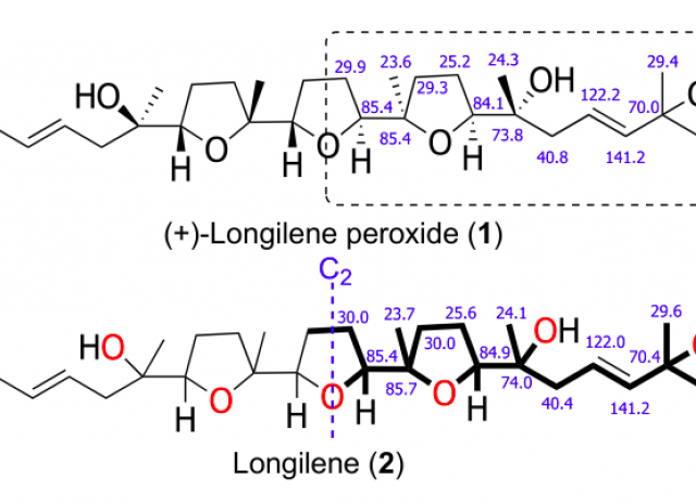 Marine longilenes, oxasqualenoids with ser-thr protein phosphatase 2A inhibition activity