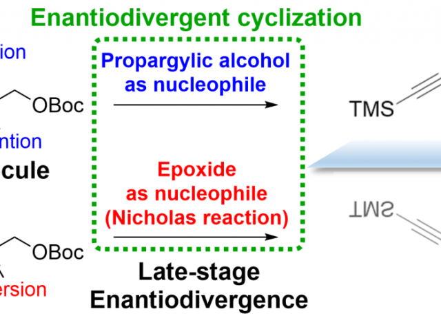 Enantiodivergent cyclization by inversion of the reactivity inambiphilic molecules