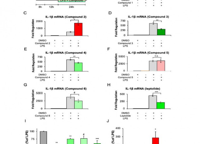 Modulation of Glial Responses by Furanocembranolides: Leptolide Diminishes Microglial Inflammation in Vitro and Ameliorates Gliosis In Vivo in a Mouse Model of Obesity and Insulin Resistance