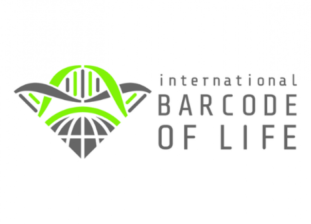 Logo horizontal iBOL