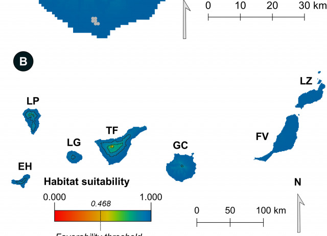 Could climate change benefit invasive snakes? Modelling the potential distribution of the California Kingsnake in the Canary Islands