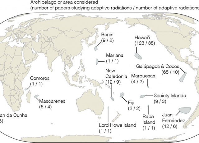 Evolutionary genomics of oceanic island radiations