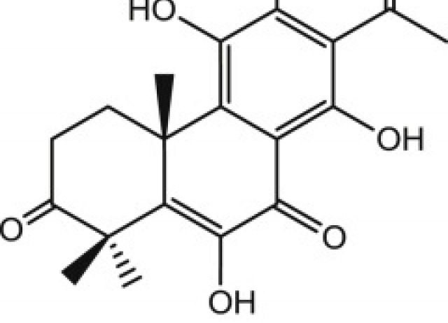 Bioactive constituents from transformed root cultures of Nepeta teydea