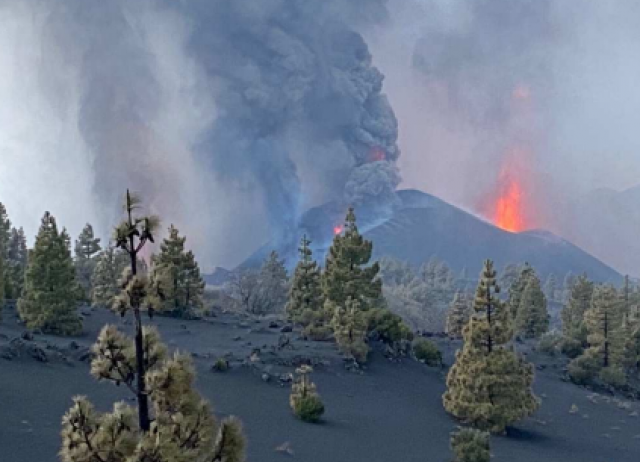 El destino de la biodiversidad durante la reciente erupción volcánica de Tajogaite, La Palma: investigando un evento natural catastrófico