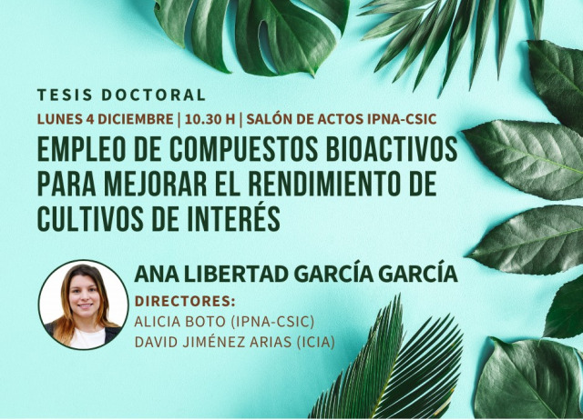 Cartel tesis Ana Libertad García