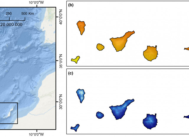 Effects of climate change on the distribution of plant species and plant functional strategies on the Canary Islands