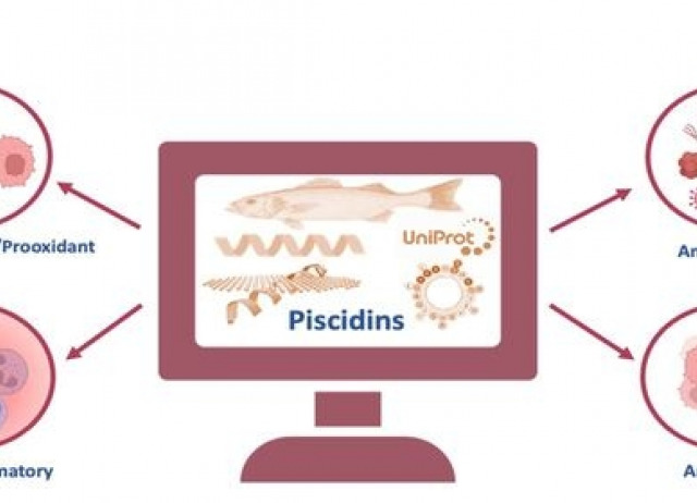 Teleost Piscidins—In Silico Perspective of Natural Peptide Antibiotics from Marine Sources