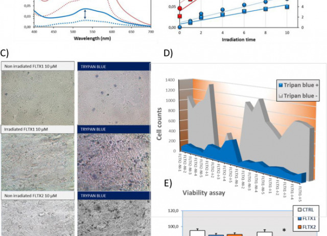 Fluorescent tamoxifen derivatives as biophotonic probes for the study of human breast cancer and estrogen-receptor directed photosensitizers