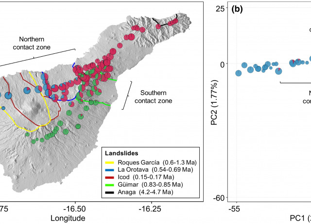 Genetic legacies of mega-landslides: Cycles of isolation and contact across flank collapses in an oceanic island