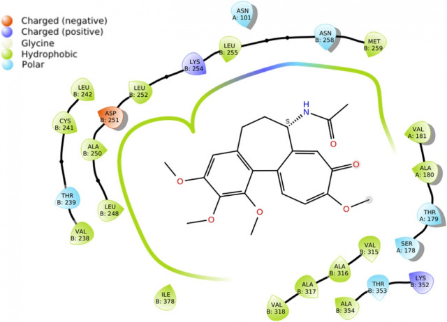Synthesis, biological and computational evaluation of novel cyanomethyl vinyl ether derivatives