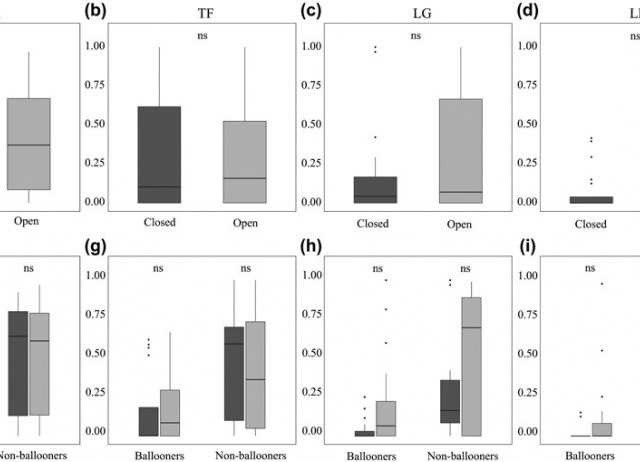Environmental heterogeneity, rather than stability, explains spider assemblage differences between ecosystems