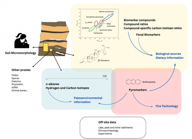 Advancing archaeological sedimentary lipid biomarker analysis: A review of recent developments and methodological guidelines