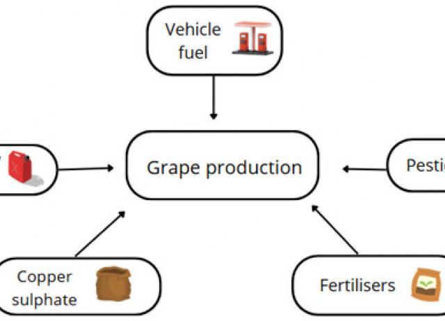 Environmental Impact Assessment of Vineyard and Winery Using Life Cycle Analysis on Volcanic Island: Tenerife