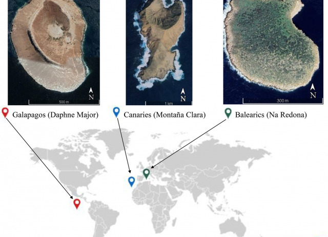 Sampling biases across interaction types affect the robustness of ecological multilayer networks