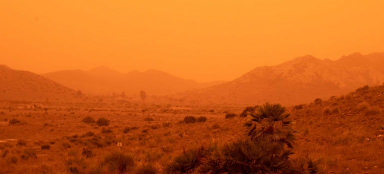 20220315-Cabo de Gata-Eva de Mas EEZA-CSIC