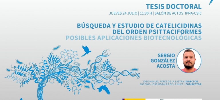 Tesis Sergi González